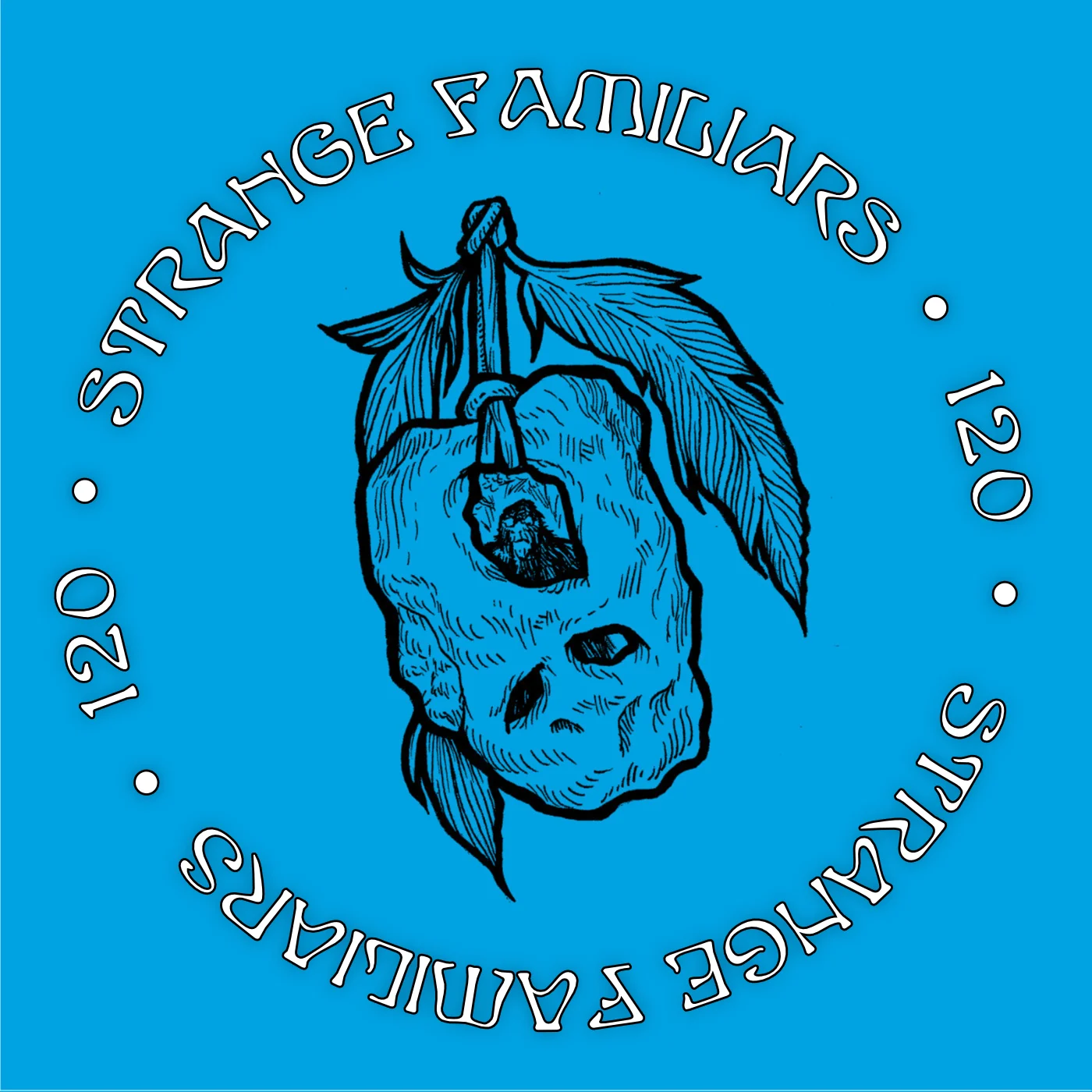 Owl Moon Echoes in Pandemonium (swapcast with Strange Brau Radio)