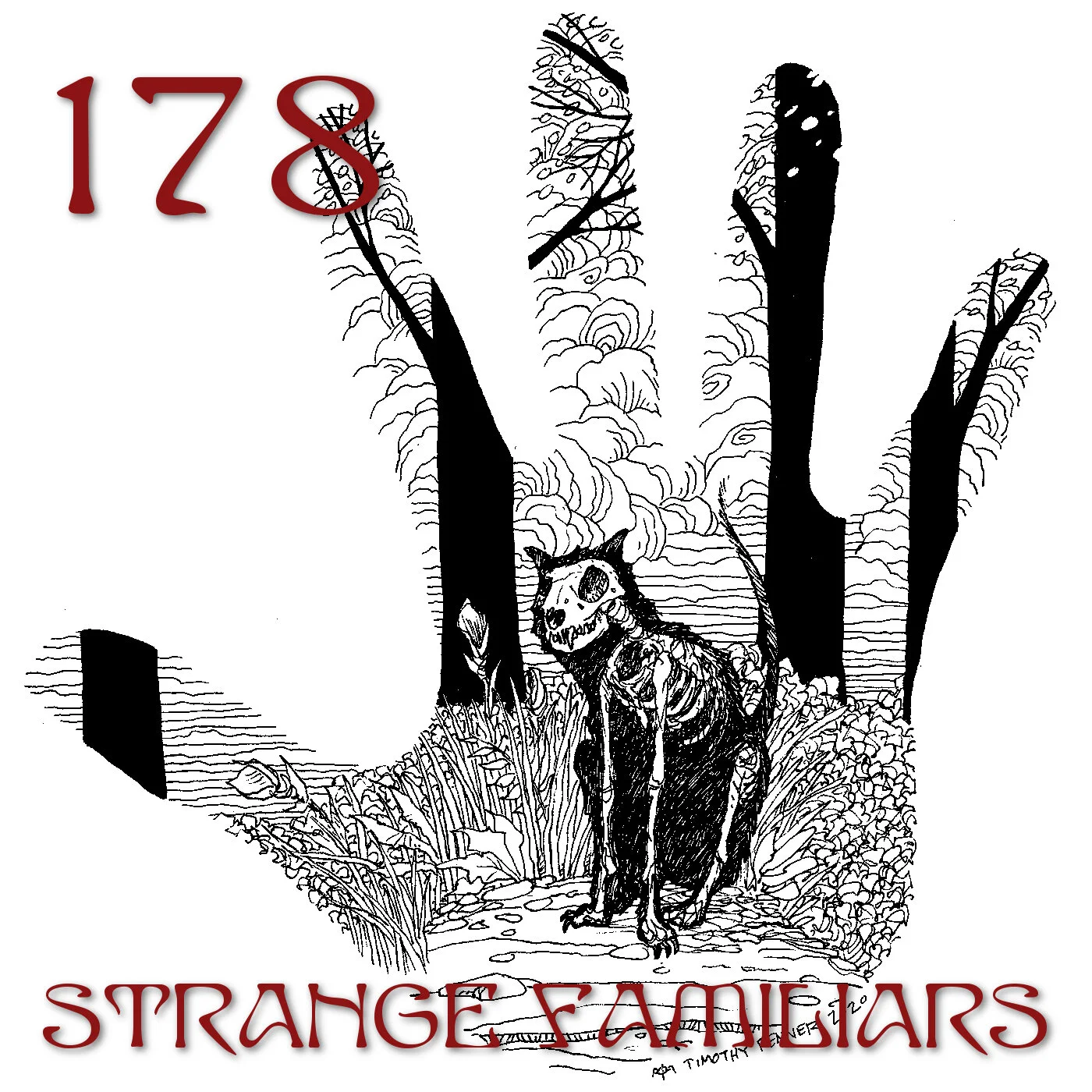 Shadow Figures, Orbs, and Other Oddities