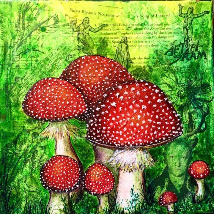 amanita muscaria.jpg