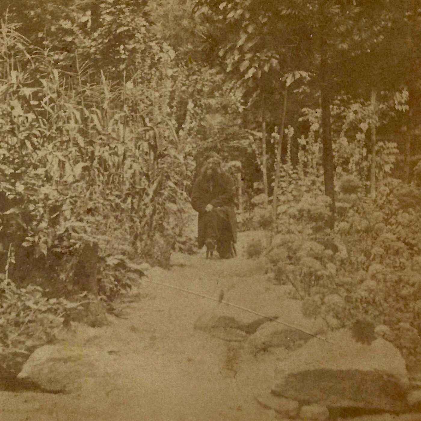 The Hermit of Erving Castle, part 1