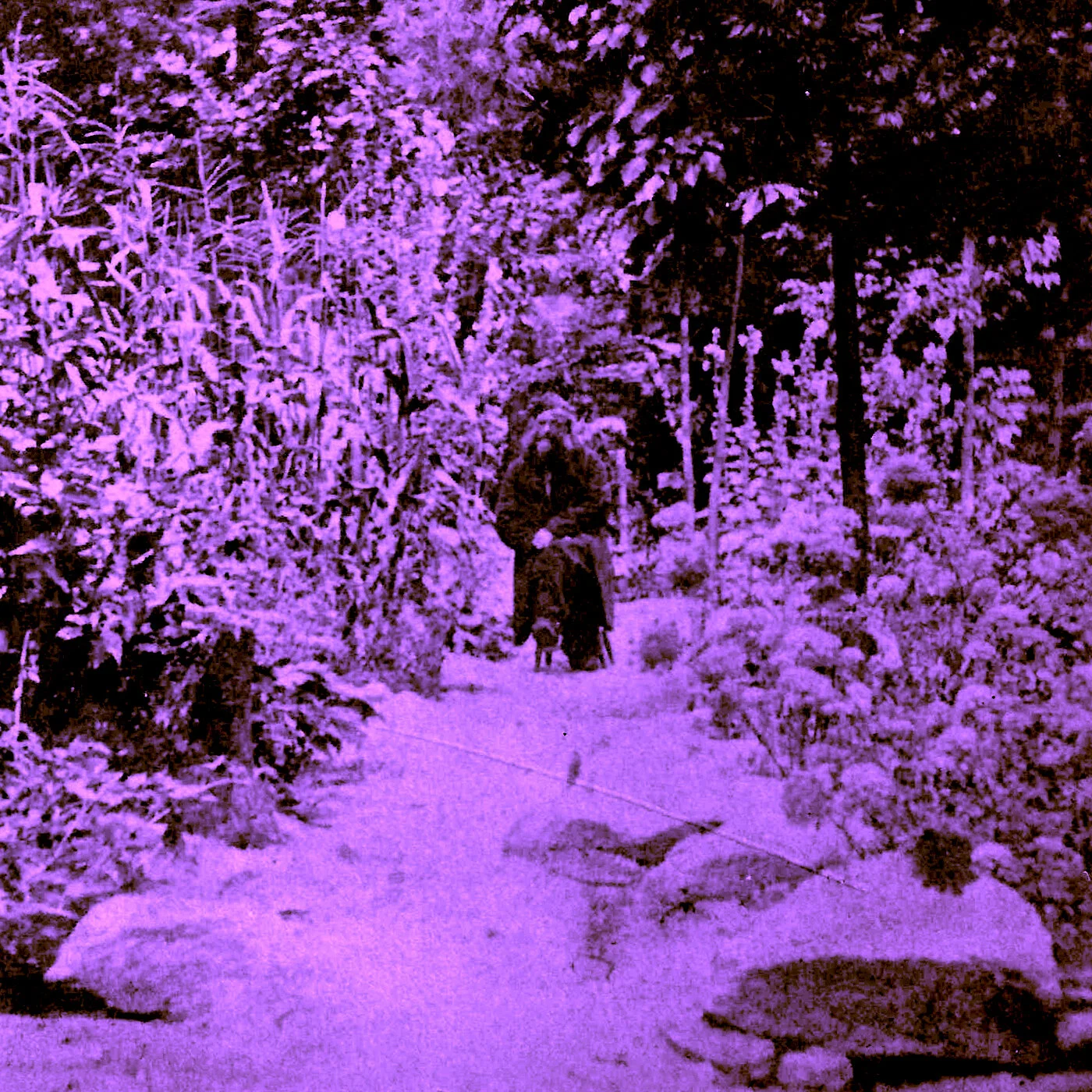 The Hermit of Erving Castle, part 2