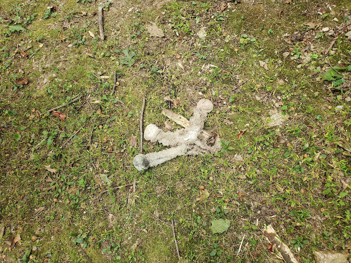 Remains of the pony stuffed animal found at the entrance to the cemetery.
