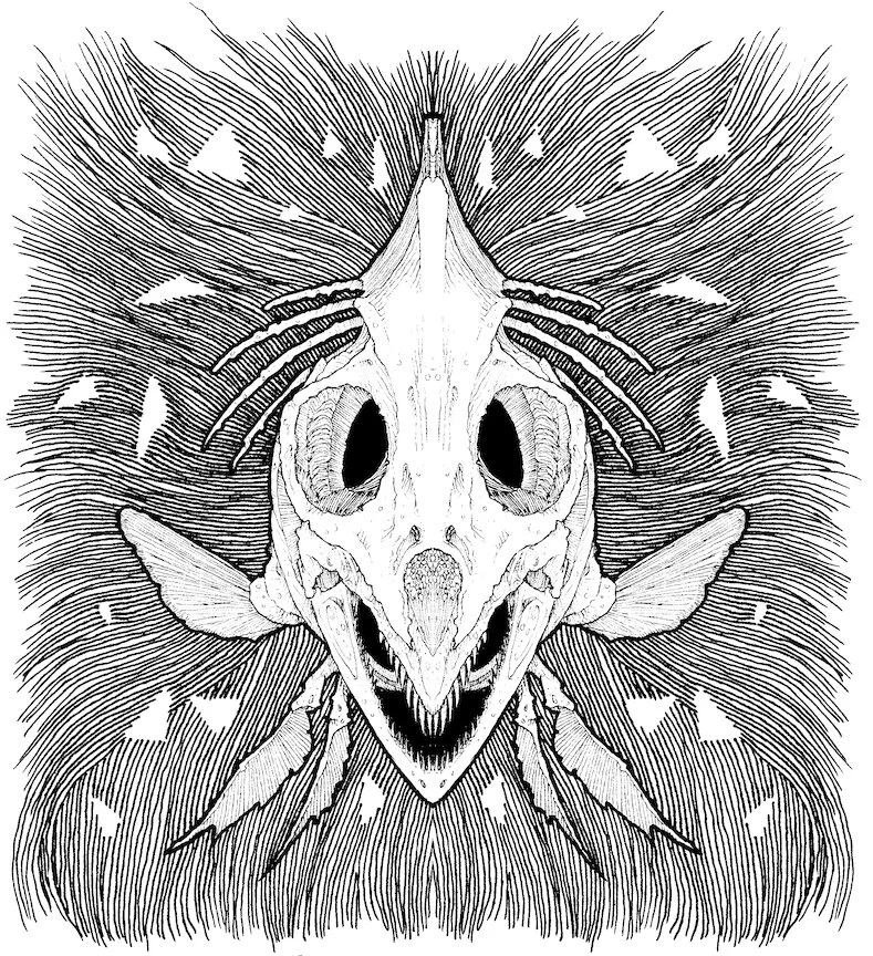 DeadSeasHex-g.jpg