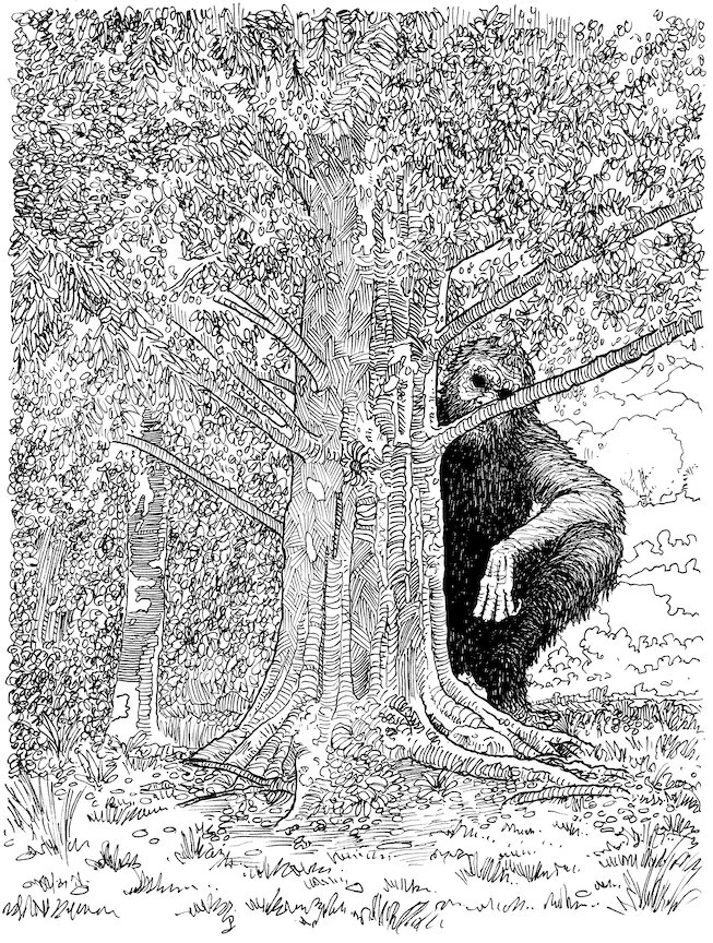 WCWM_illo2-g.jpg