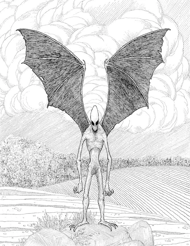 CodorusMothman-g.jpg