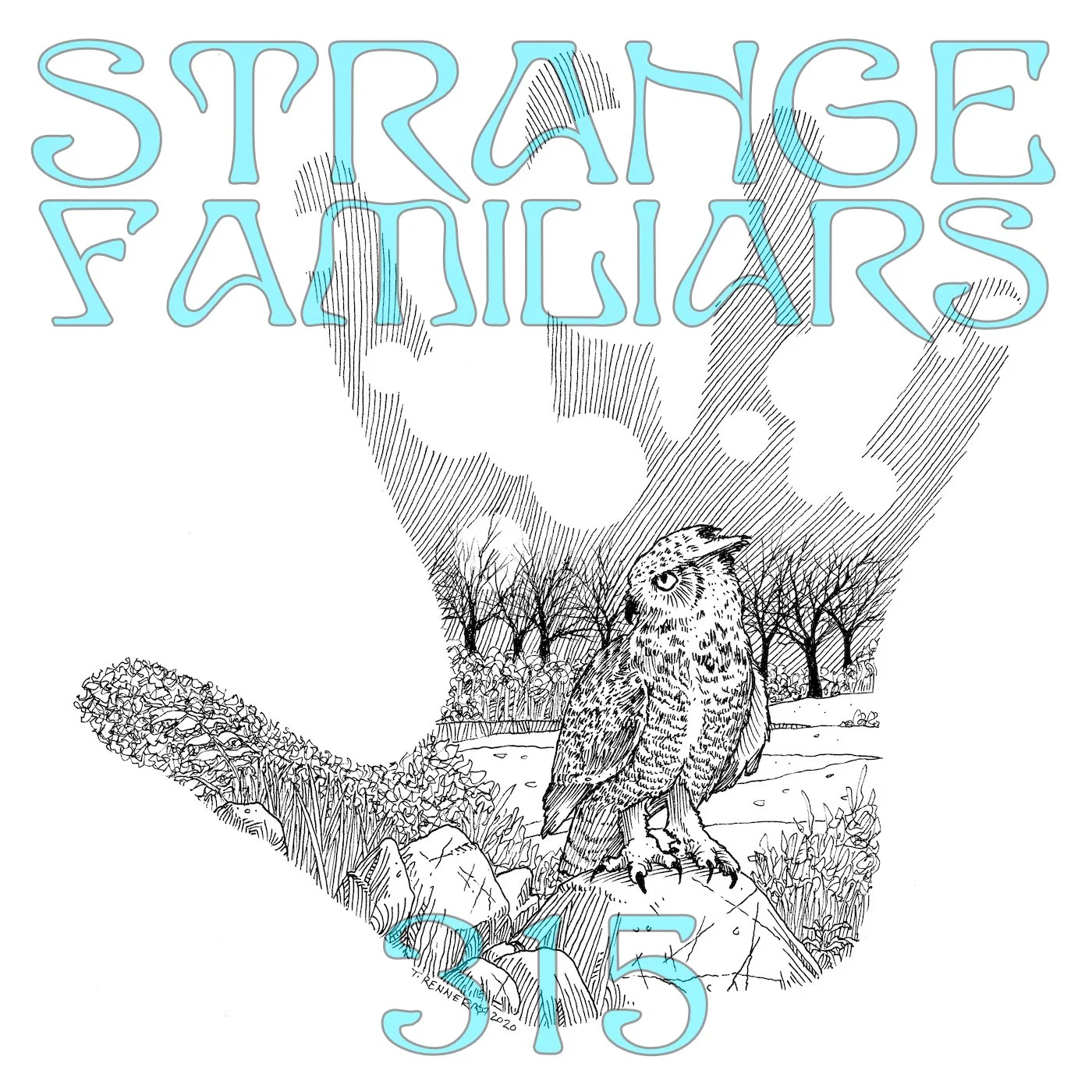 Blue Entities, Little People, and Weird Owls