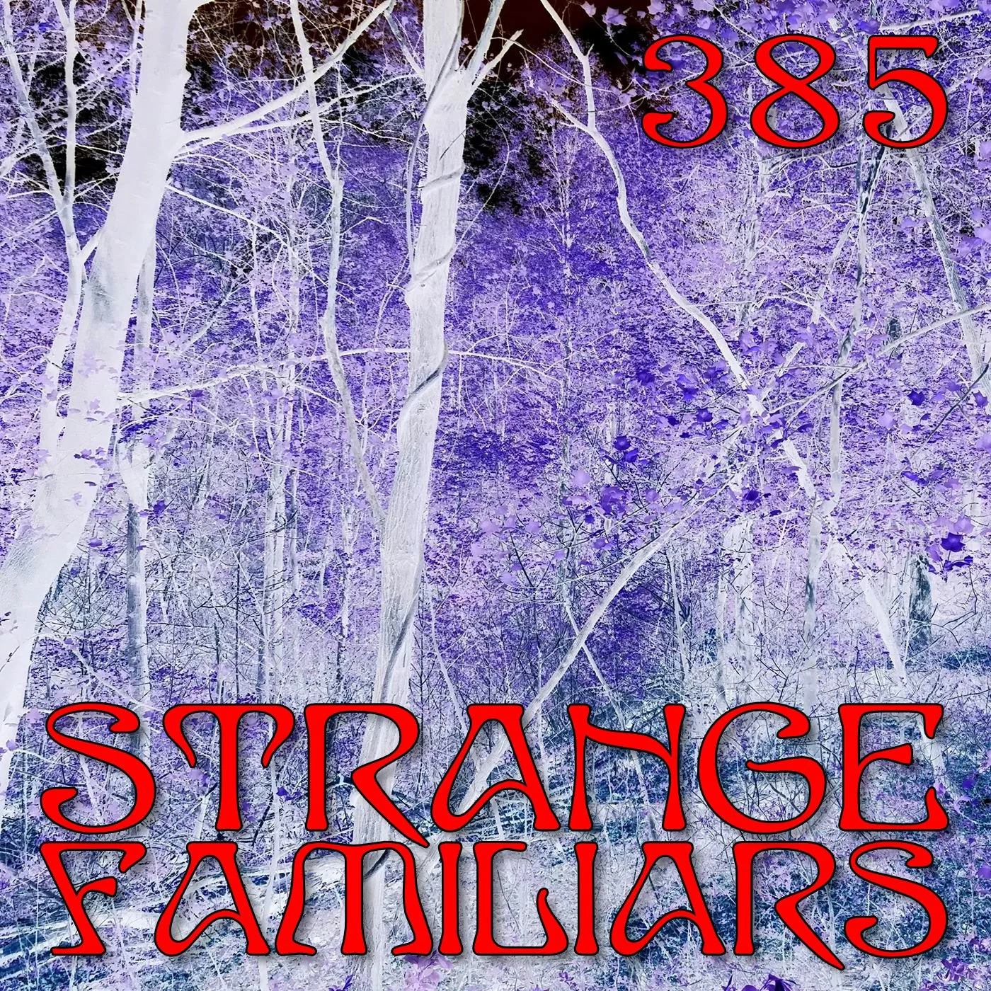 Site 7 – March 18, 2023