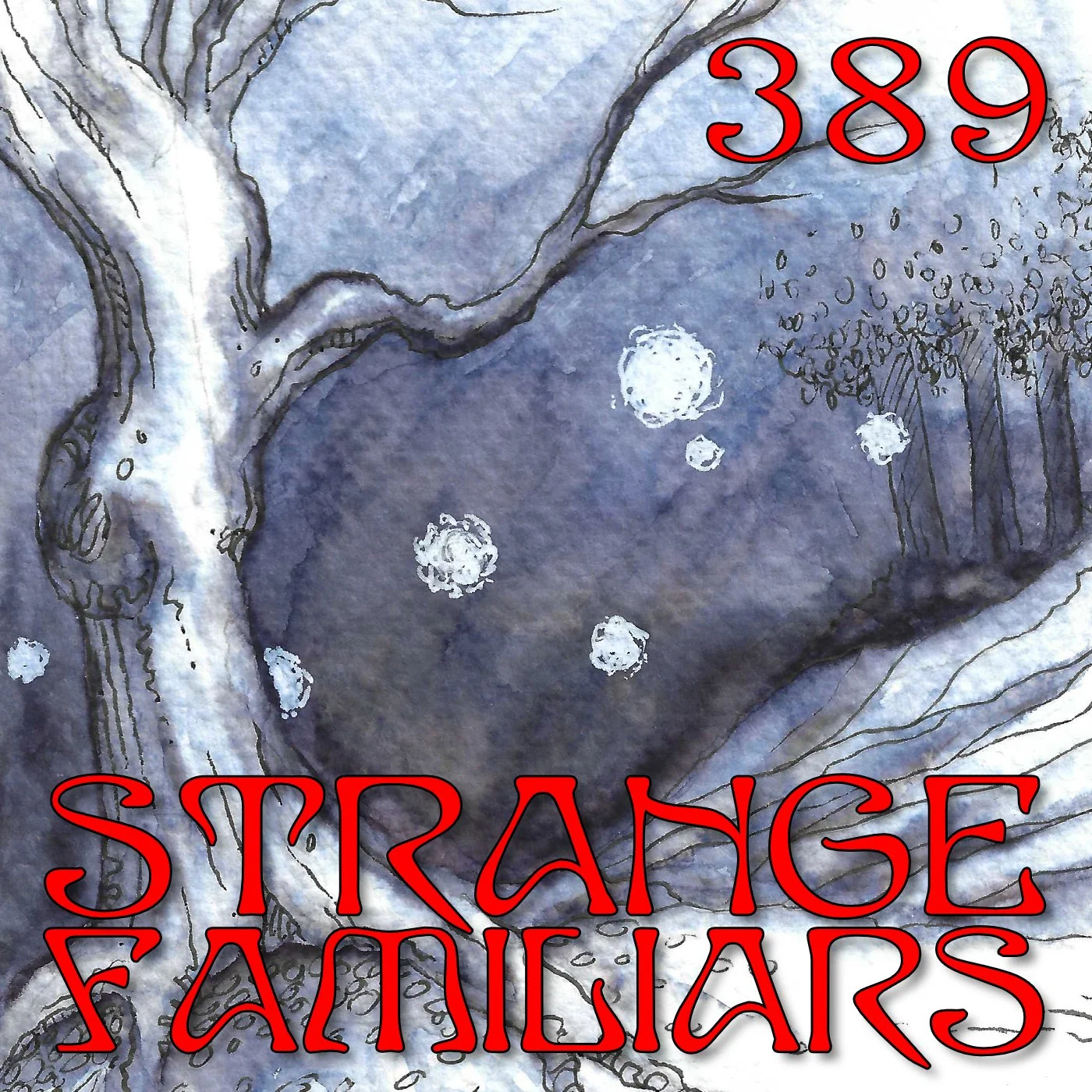 Apparitions, Orbs, Eyeshine, and More