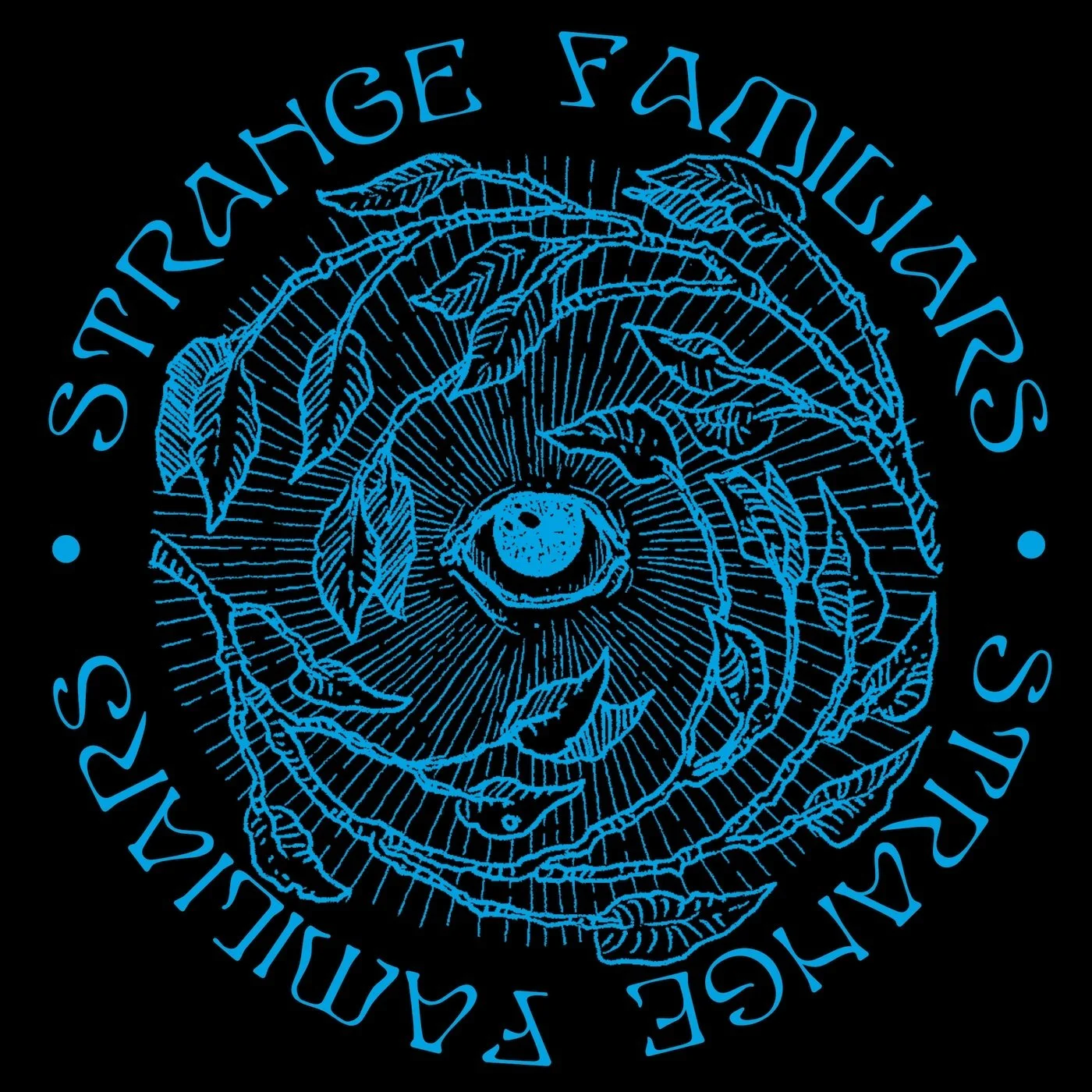 Go Fund Us (if you can)