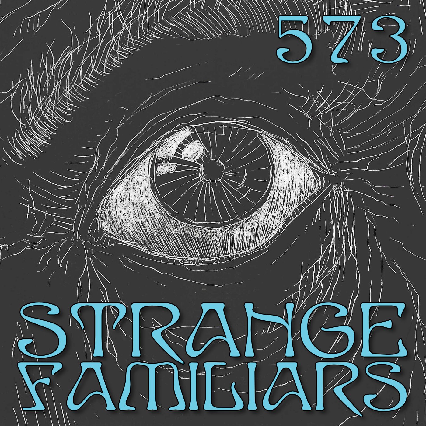 Looking Back – Looking Forward