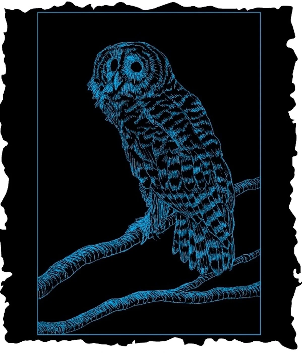 BARRED OWL long sleeve t-shirts and hoodies - PREORDER