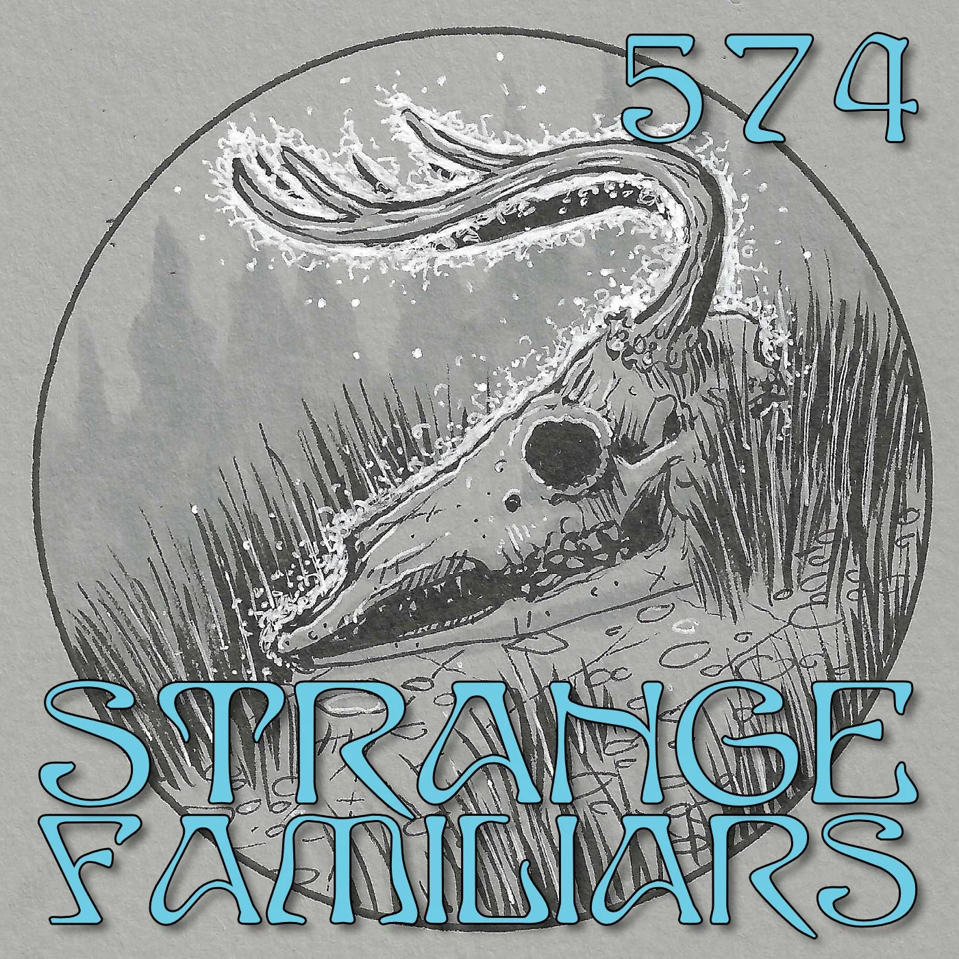 Skulls and Synchronicities at the Witches Grove