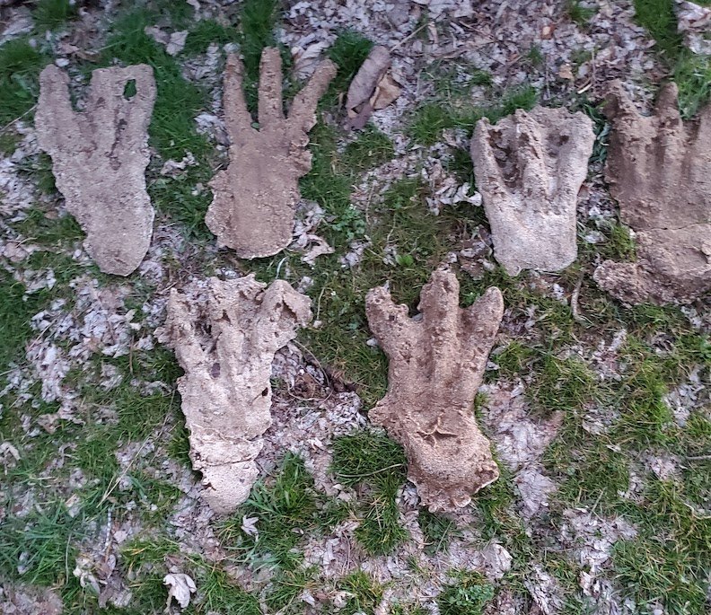 Bigfoot Sign Language — Strange Familiars