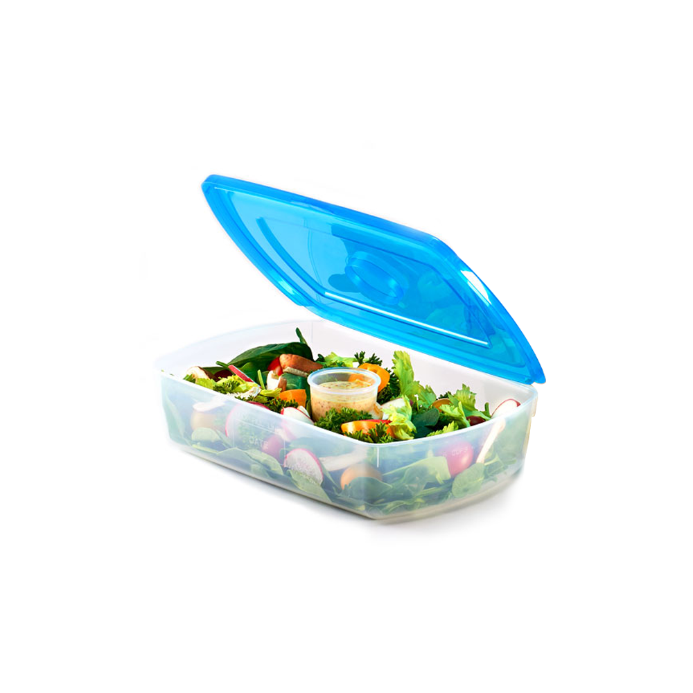 Salad with Cup - Single
