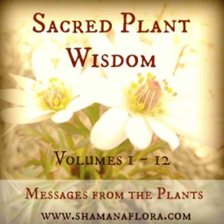 Sacred Plant Wisdom - Complete vol 1-12