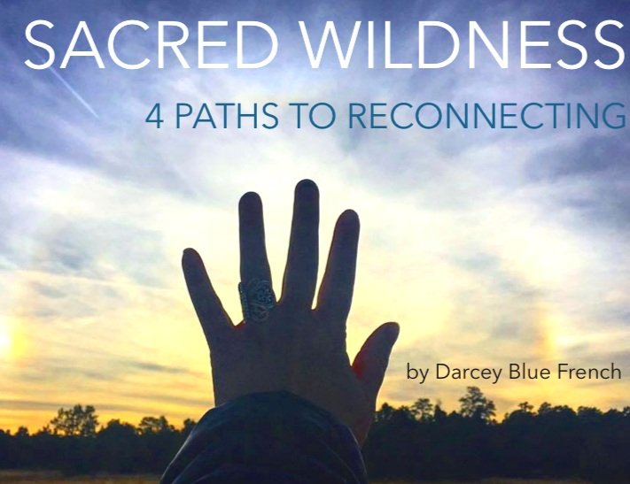 sacredwildness4paths+cover.jpg