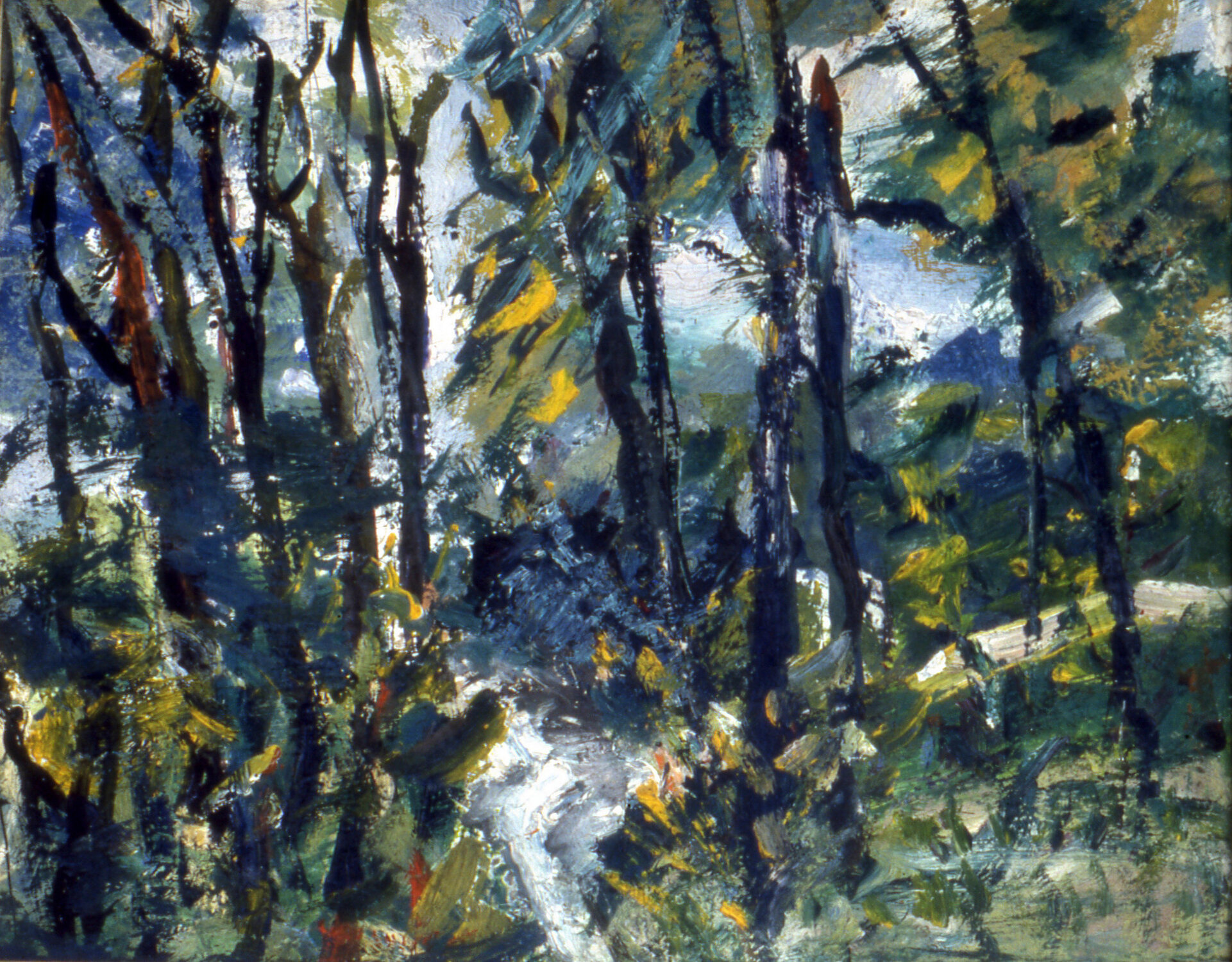 Forest, 1951