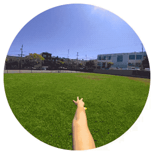 Reverse-BookSpin.2019-08-17 21_56_37.gif