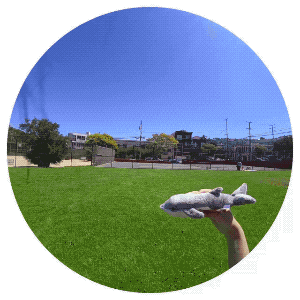 Whale-Raw.2019-08-17 22_08_11.gif