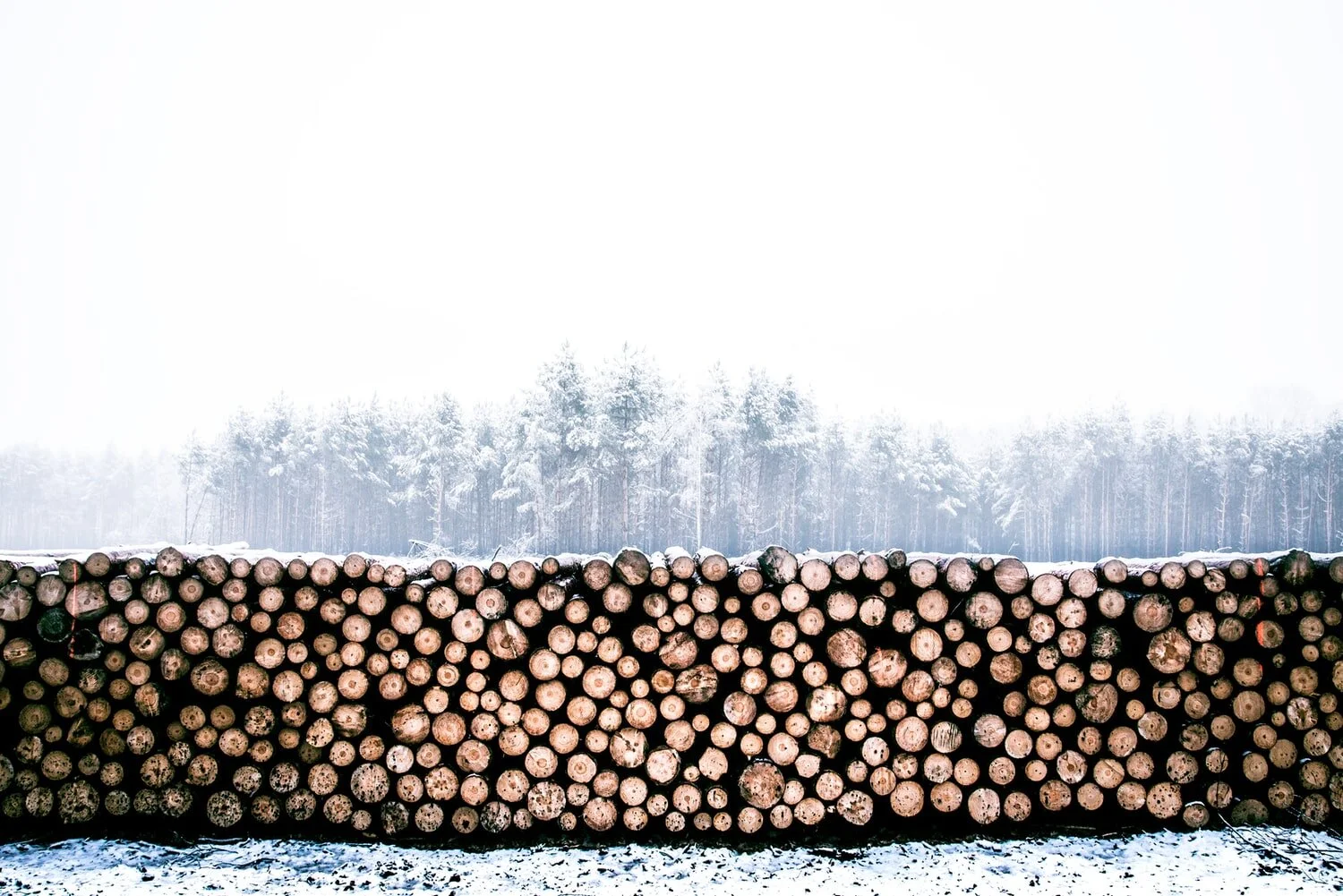 logs.jpeg