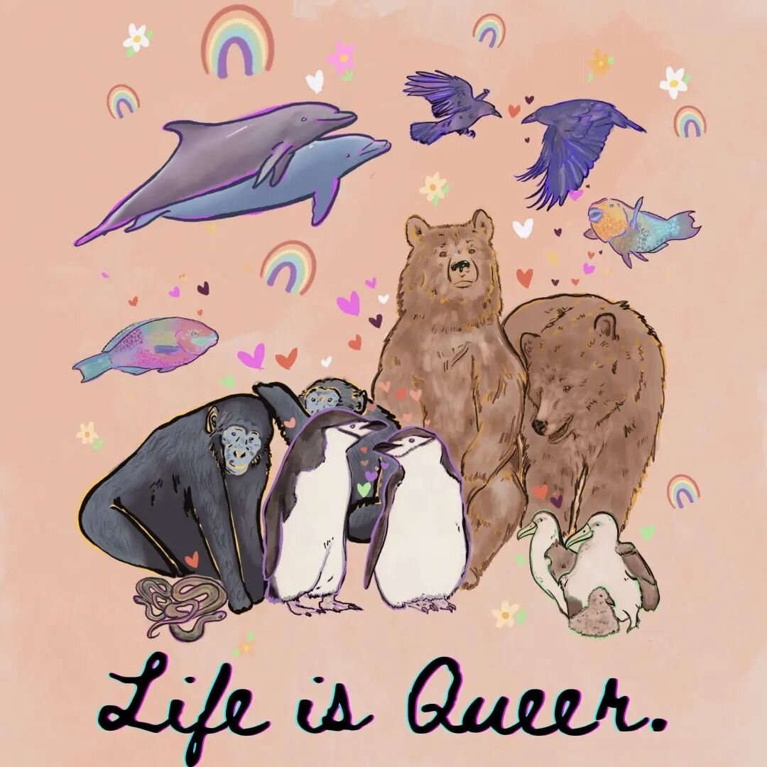Life is queer. 🌈

&bull;

Life defies our attempts at categorization. Life is so much weirder and more wonderful than we cab ever describe.

&bull;

We made up the rules. Be brave. Throw off the burden of the ones thay don't serve us.

&bull;

Life 