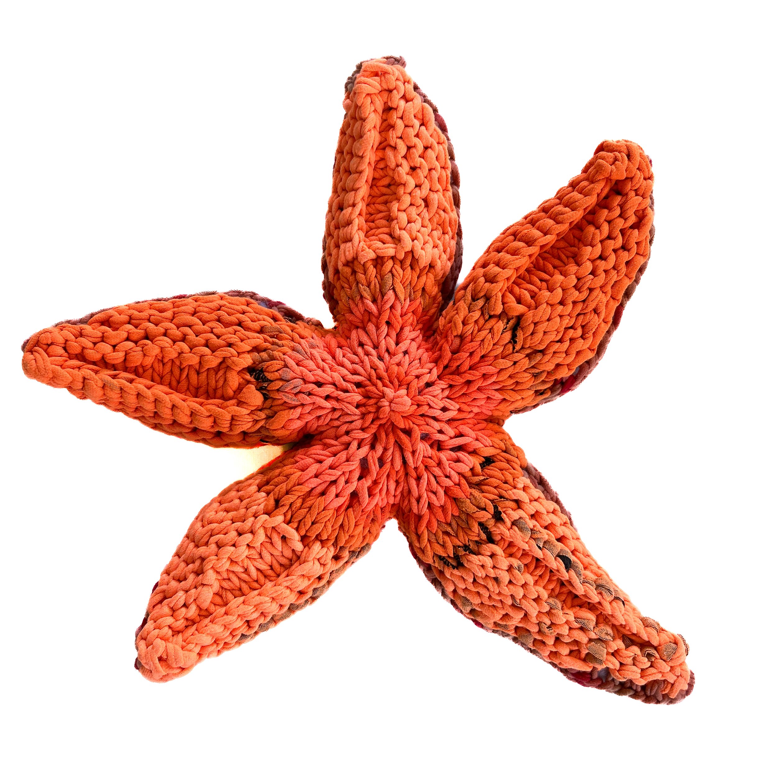 Starfish Loveys-11.jpg