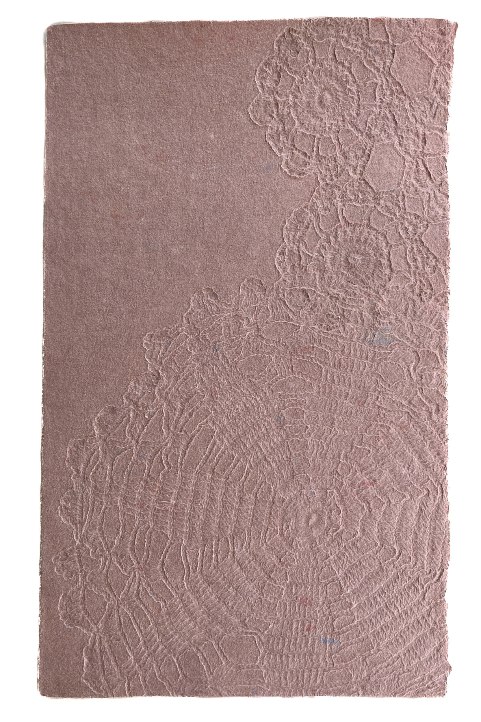 Doily Reef.