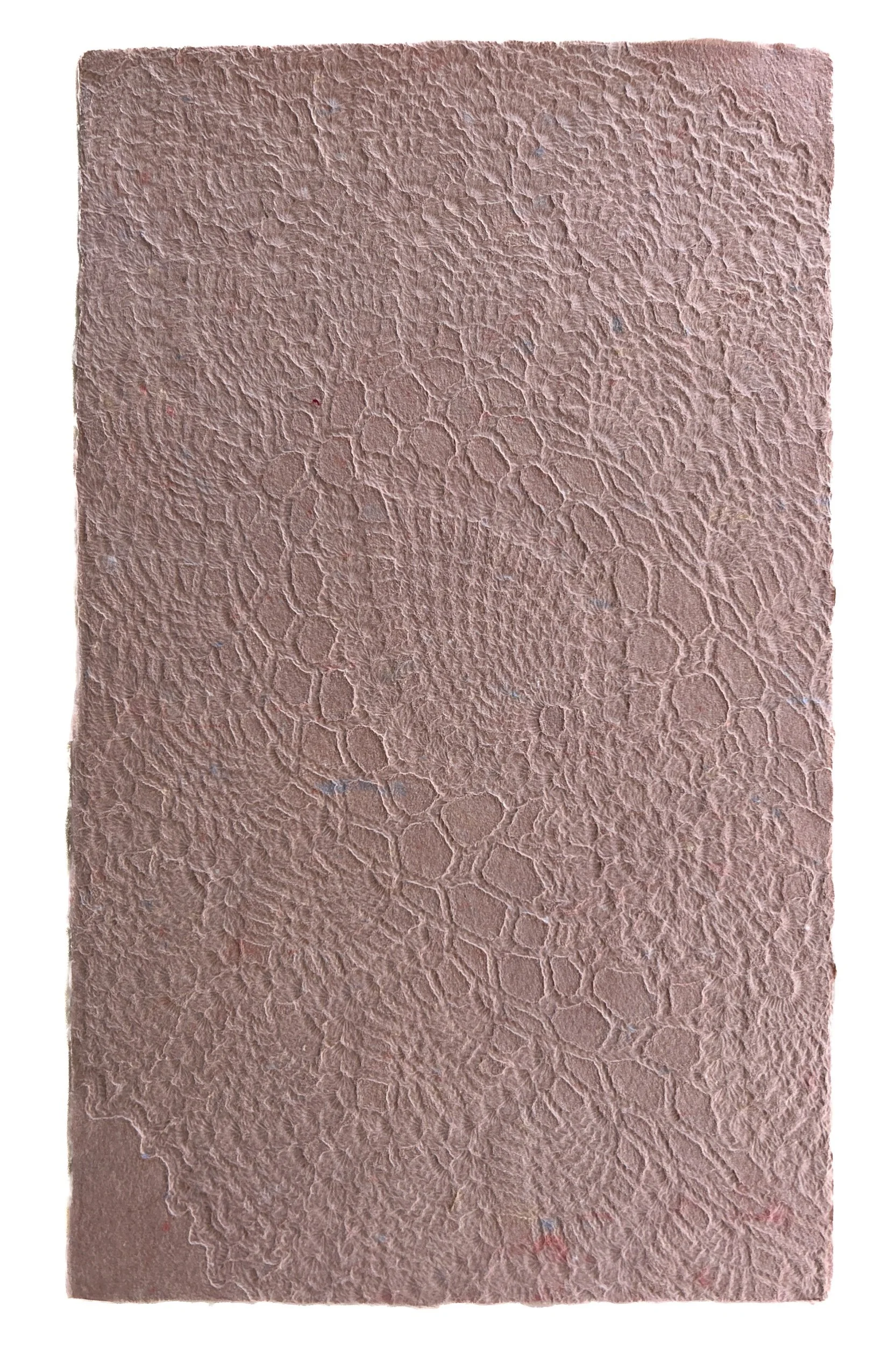Doily Reef.