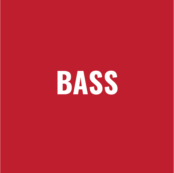 BASS-04.png