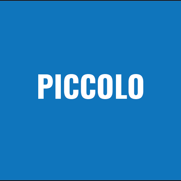 PICCOLO-07.png