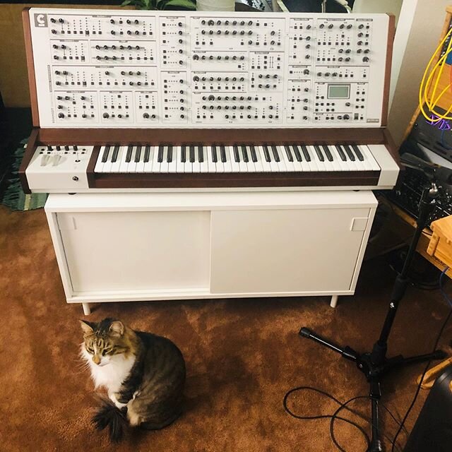 Can you even have a synth studio without a 🐈 cat ??✨
The answer is noooope😊👌🏻✨
@schmidt_synthesizer .
.
.
M
.
O
.
O
.
N
.
L
.
A
.
B
.
S
.
.
.
#synthesizer #synthesizers #synthstudio #recordingstudio #austintexas #atxstudio #synthwave #synthmusic 