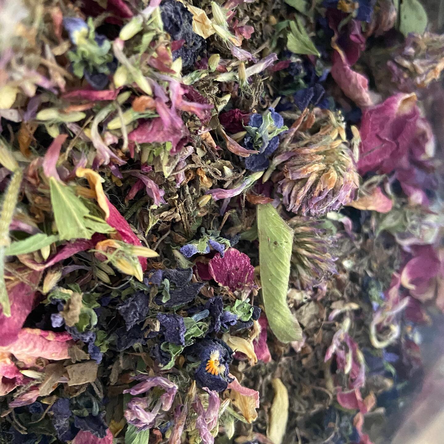 Tea is drinking a warm hug from Mother Nature.
.
A steep of gentle harmonious notes of compounds coaxed to release to form a soothing elixir. 
.
Tea is one of the softest yet profound medicines there is &amp; it brings me great joy to listen to a lit