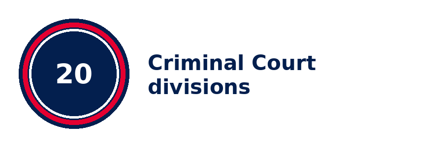 03_criminal_court_divisions.png
