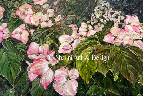 dogwoods-in-vandusen 500x336.png