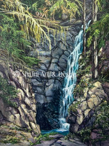 heart-in-cypress-falls 375x500.png