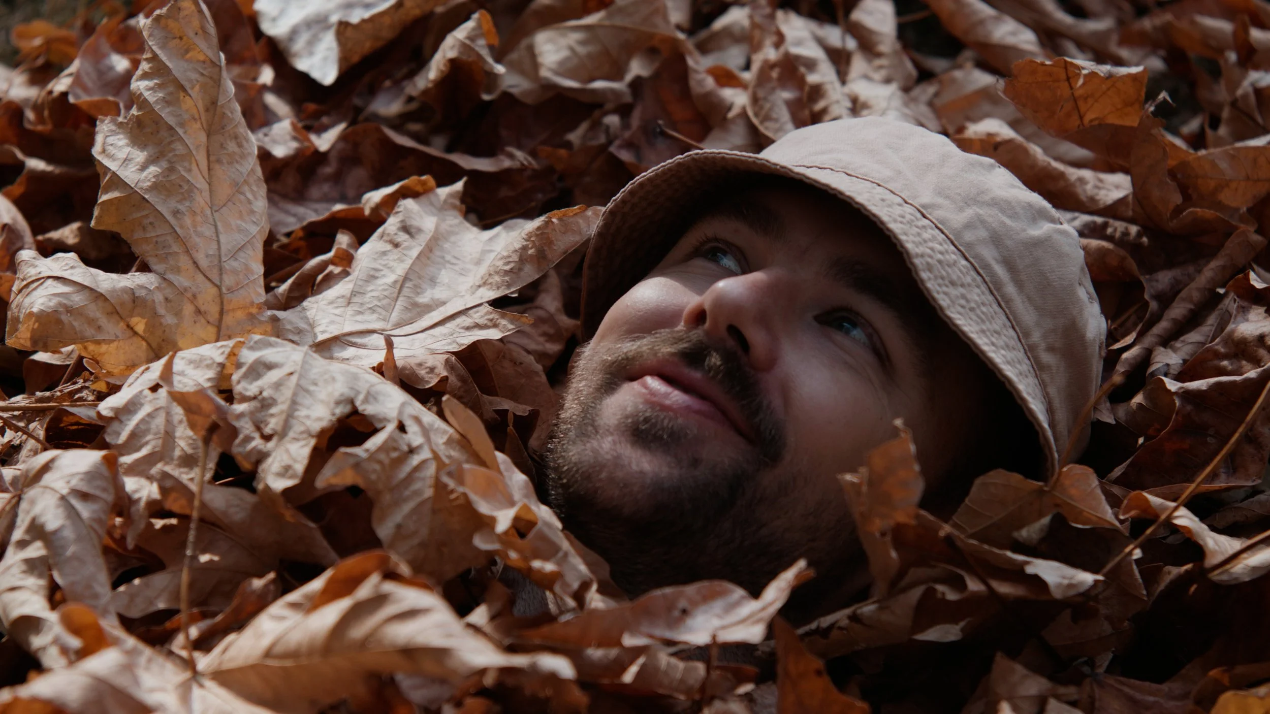 SonReal Album Trailer