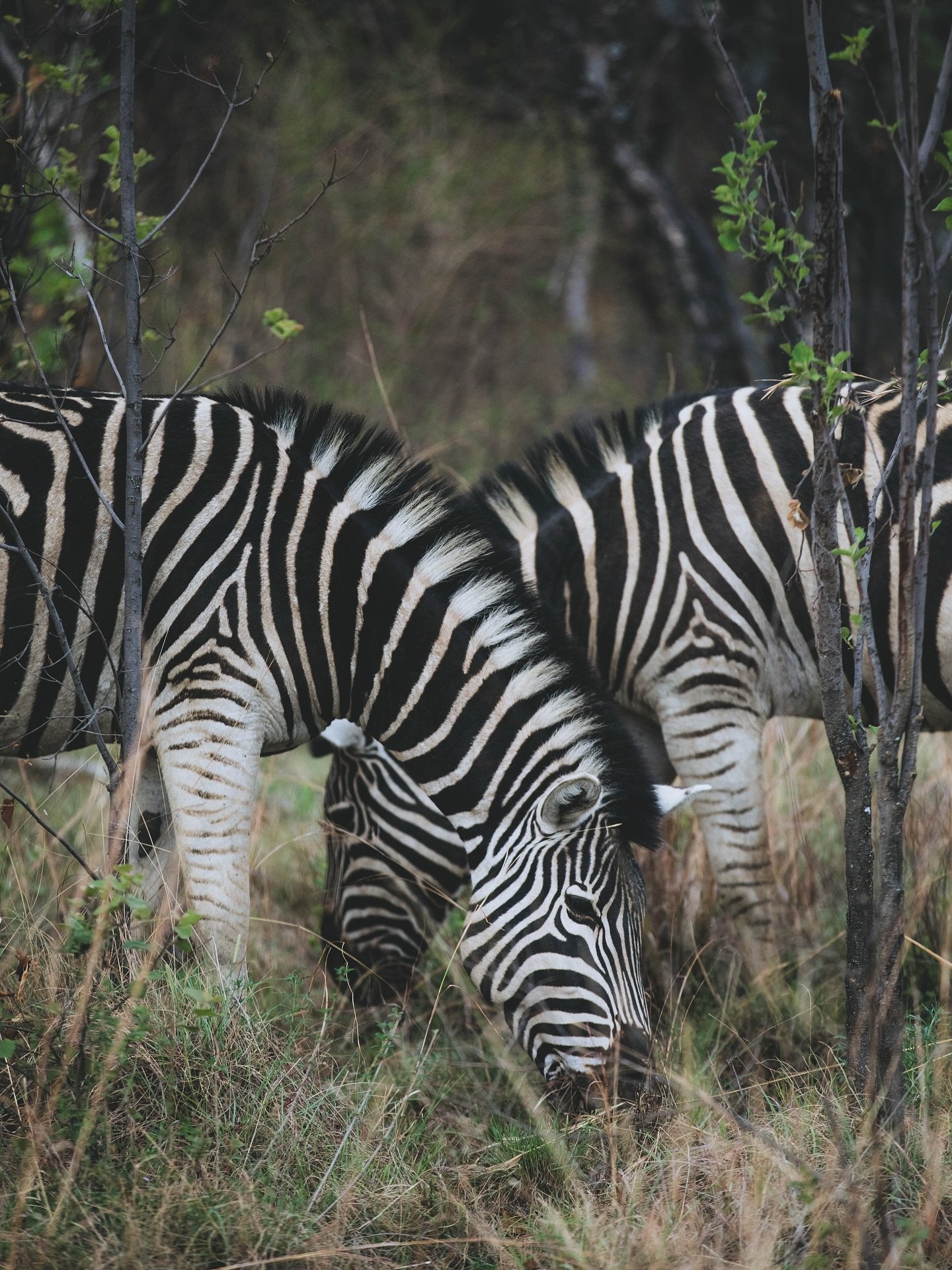 Hell of a time. Europe/UK/South Africa paid in memories tour in the vault.