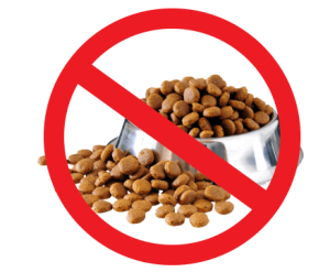 purina ketogenic diet