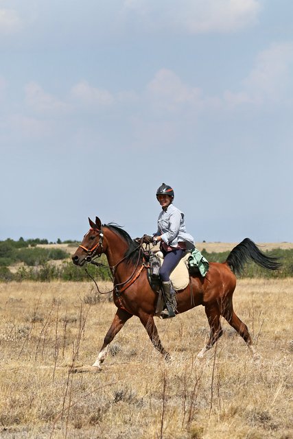 105613479-0D8A7297_RP.JPG