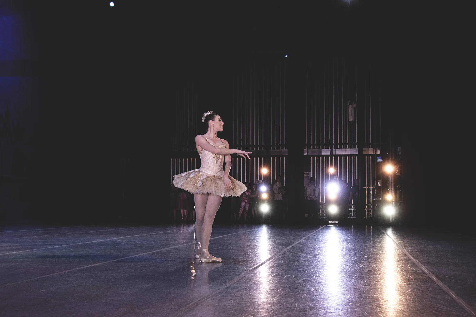 NUTCRACKER TILER PECK.jpg