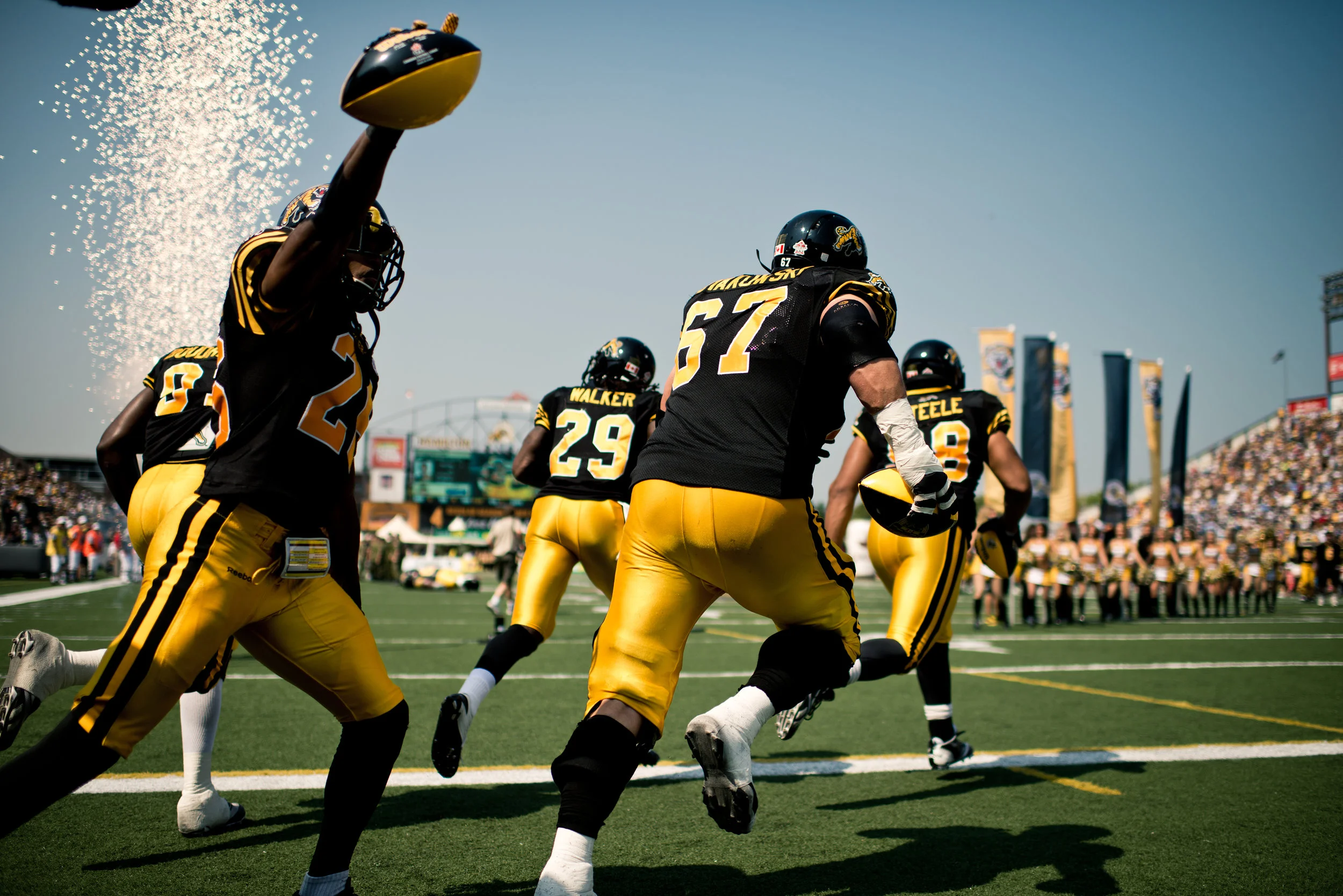 HAMILTON TI-CATS