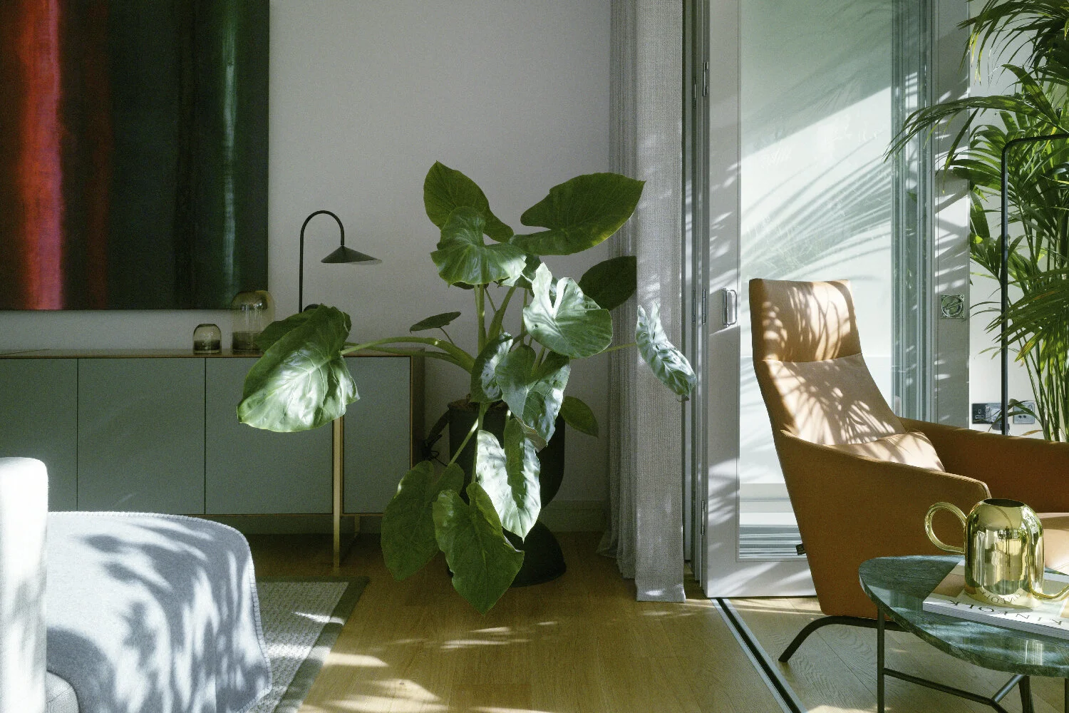 LP_CORNER_PLANT.jpg