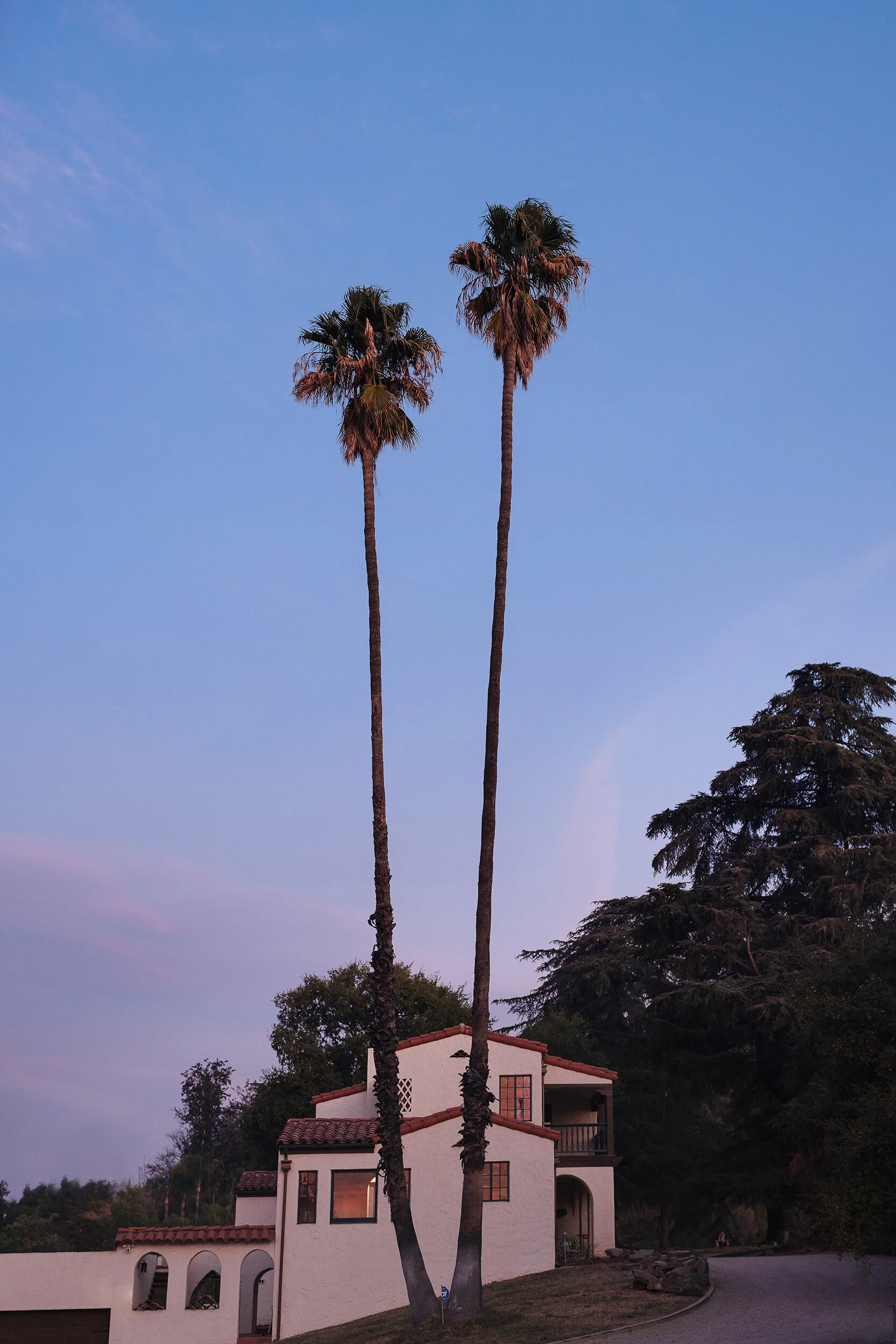 twin-palms-sm.jpg