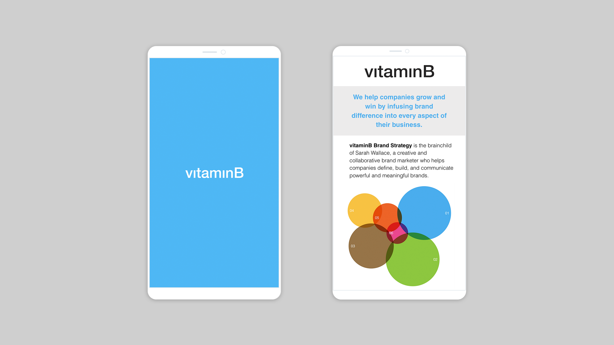 portfolio_vitaminB_mobile.png