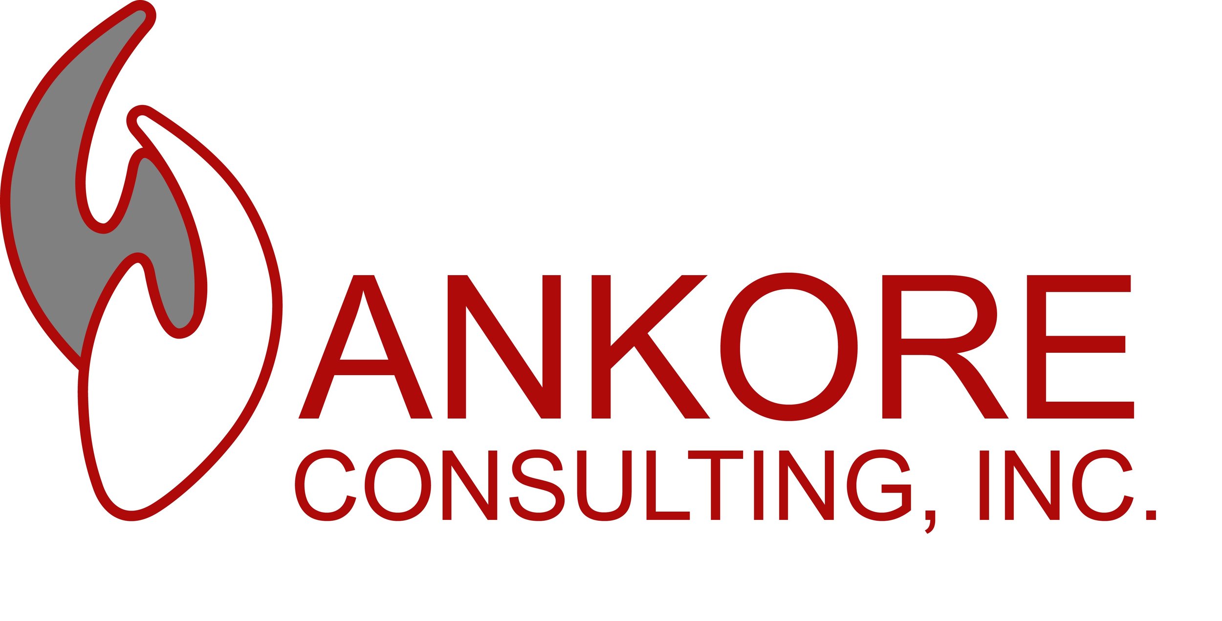 Ankore Consulting, Inc. 