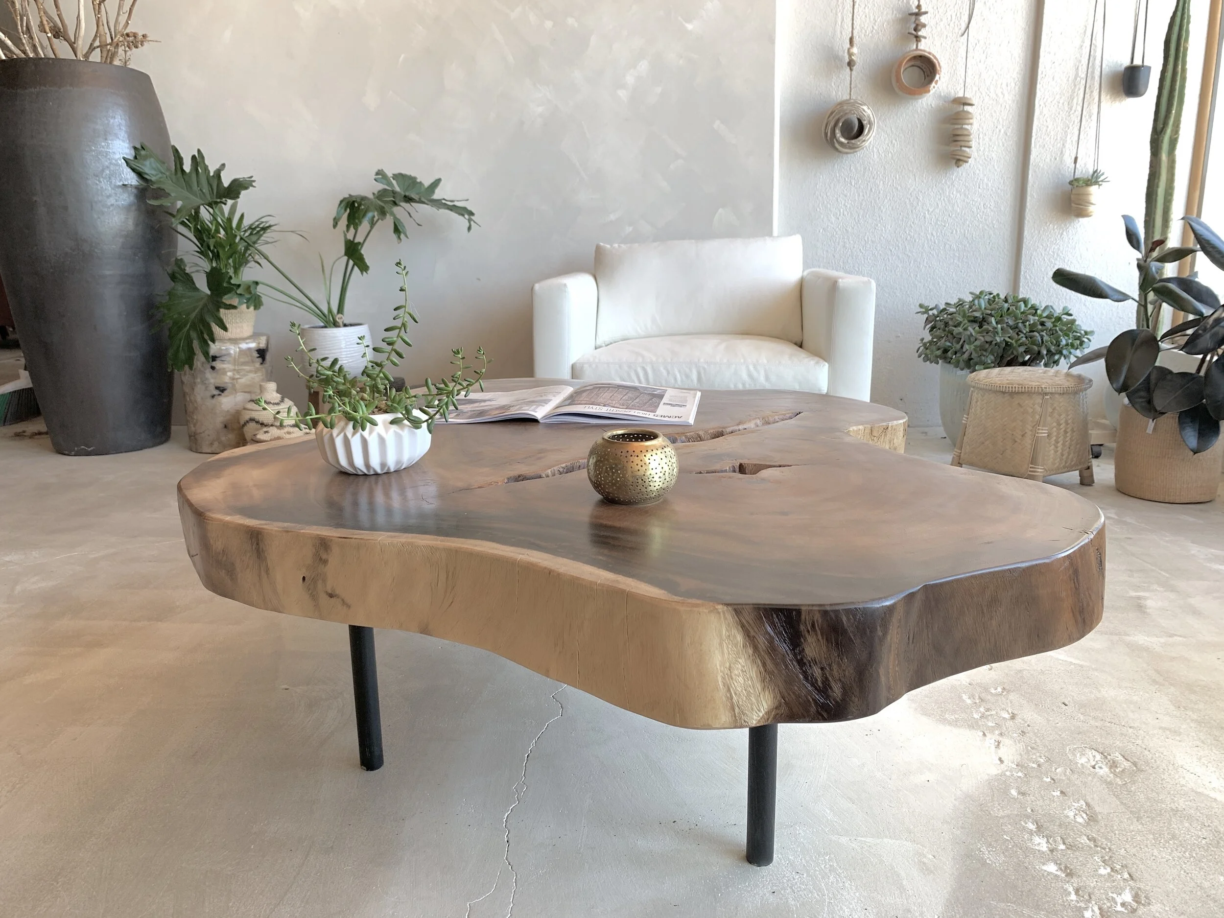 COFFEE TABLES — ACME 5 LIFESTYLE