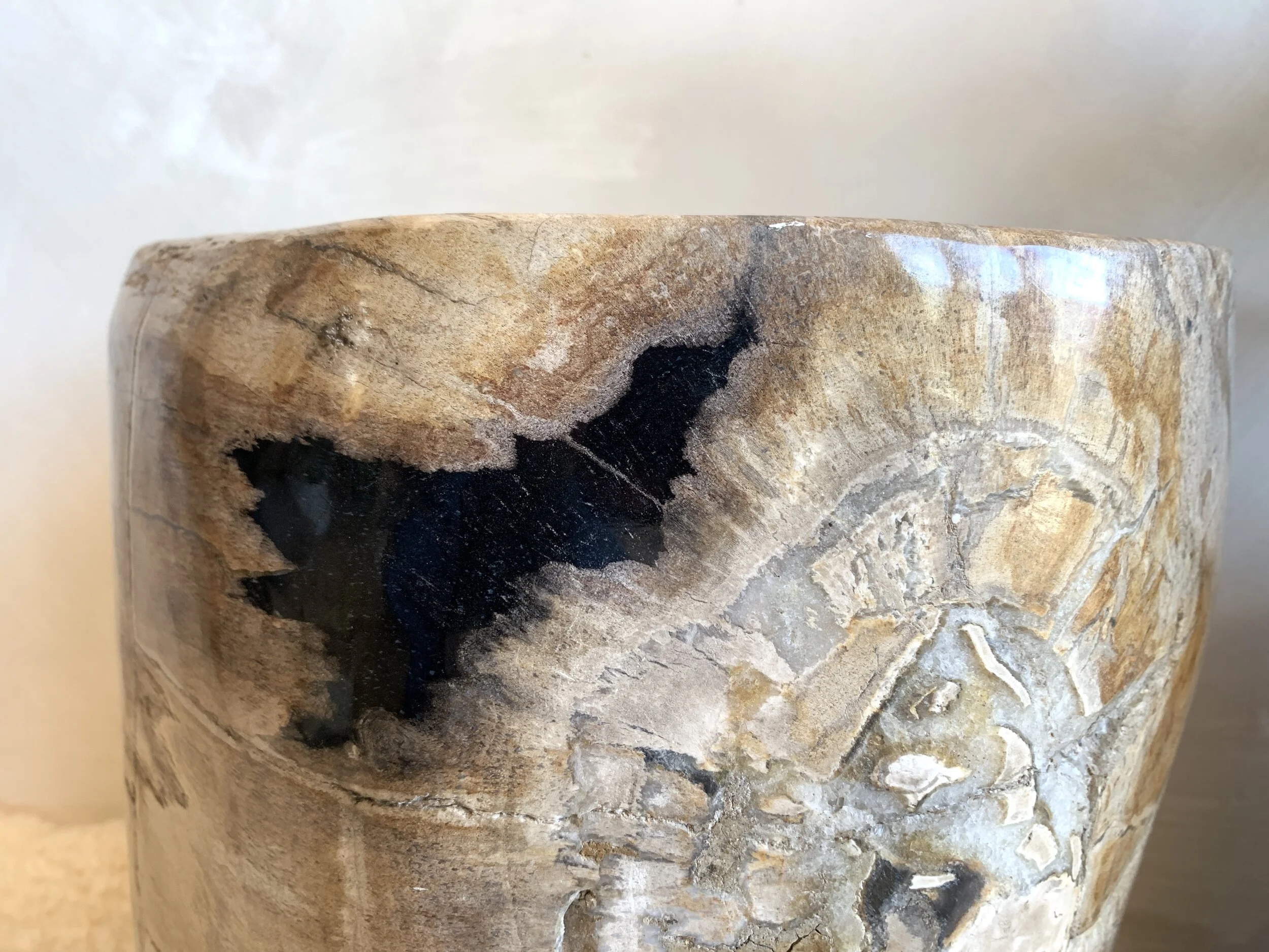 CCCDC108-0C80-49F9-A709-74EBBEB4908F