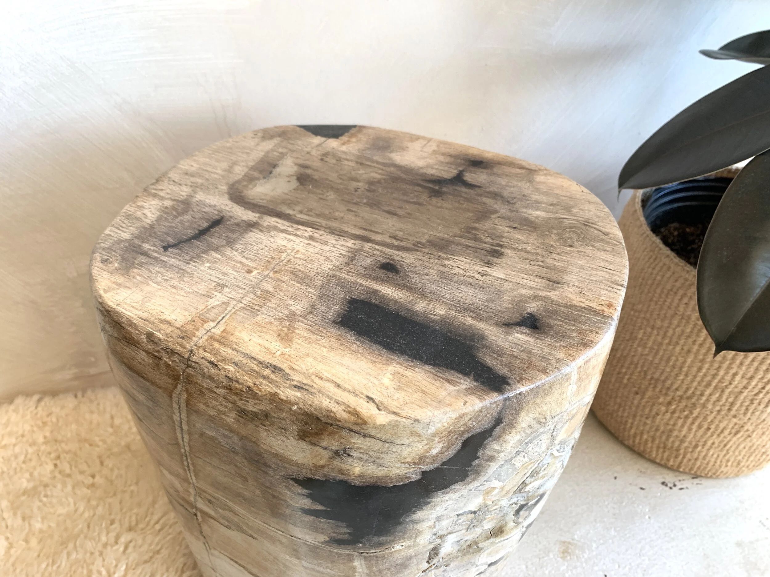 C37FCD09-D636-4E16-85E8-E4646CB7B7BD