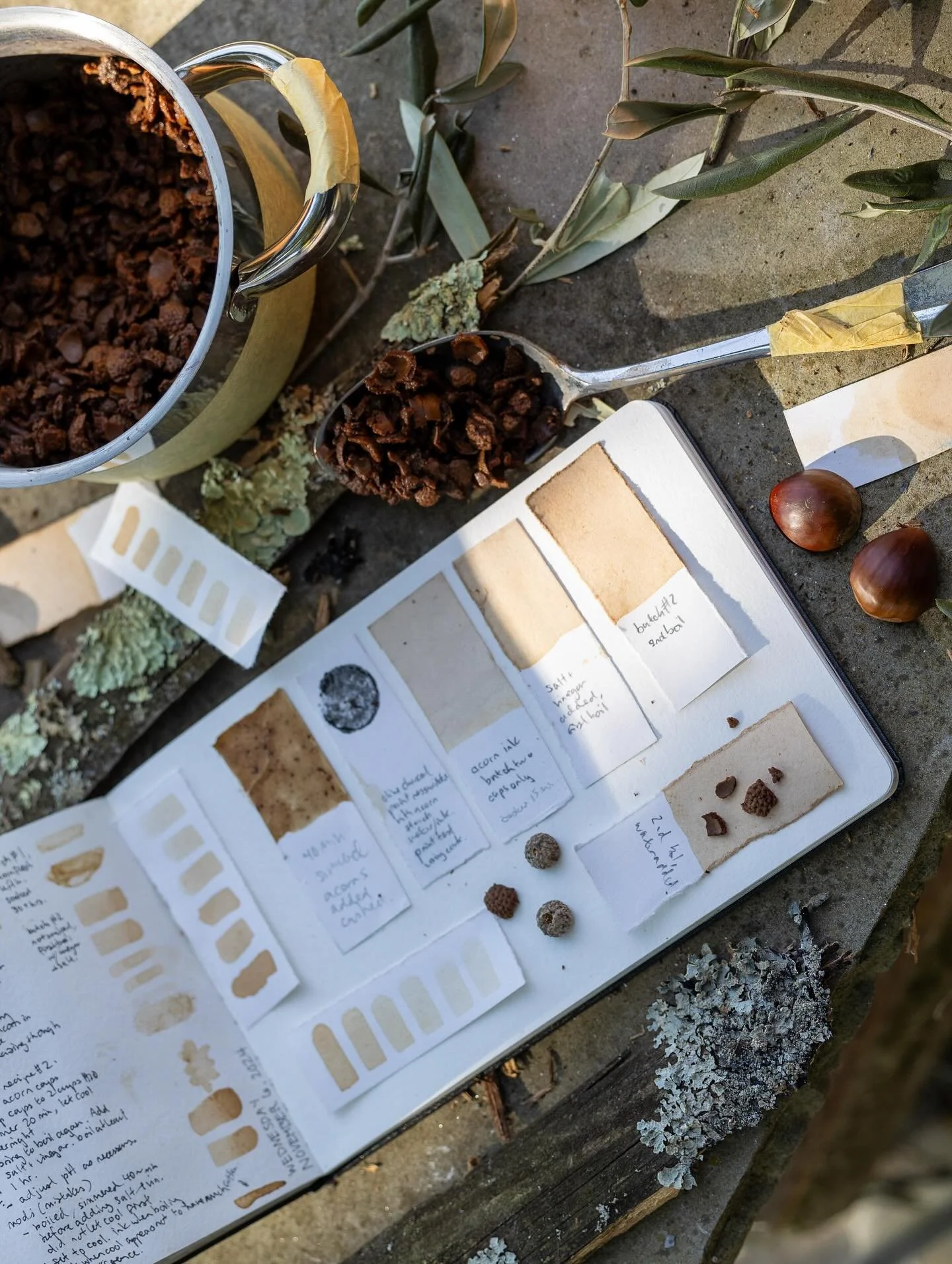 PANICALE DAY 16 // In Which We Test Acorn Ink Recipes
I set aside the pot with its disastrous, concealed mess of acorn slurry. I had spent enough of the early afternoon hours attempting to get the day&rsquo;s experiment of acorn &ldquo;ink&rdquo; to 