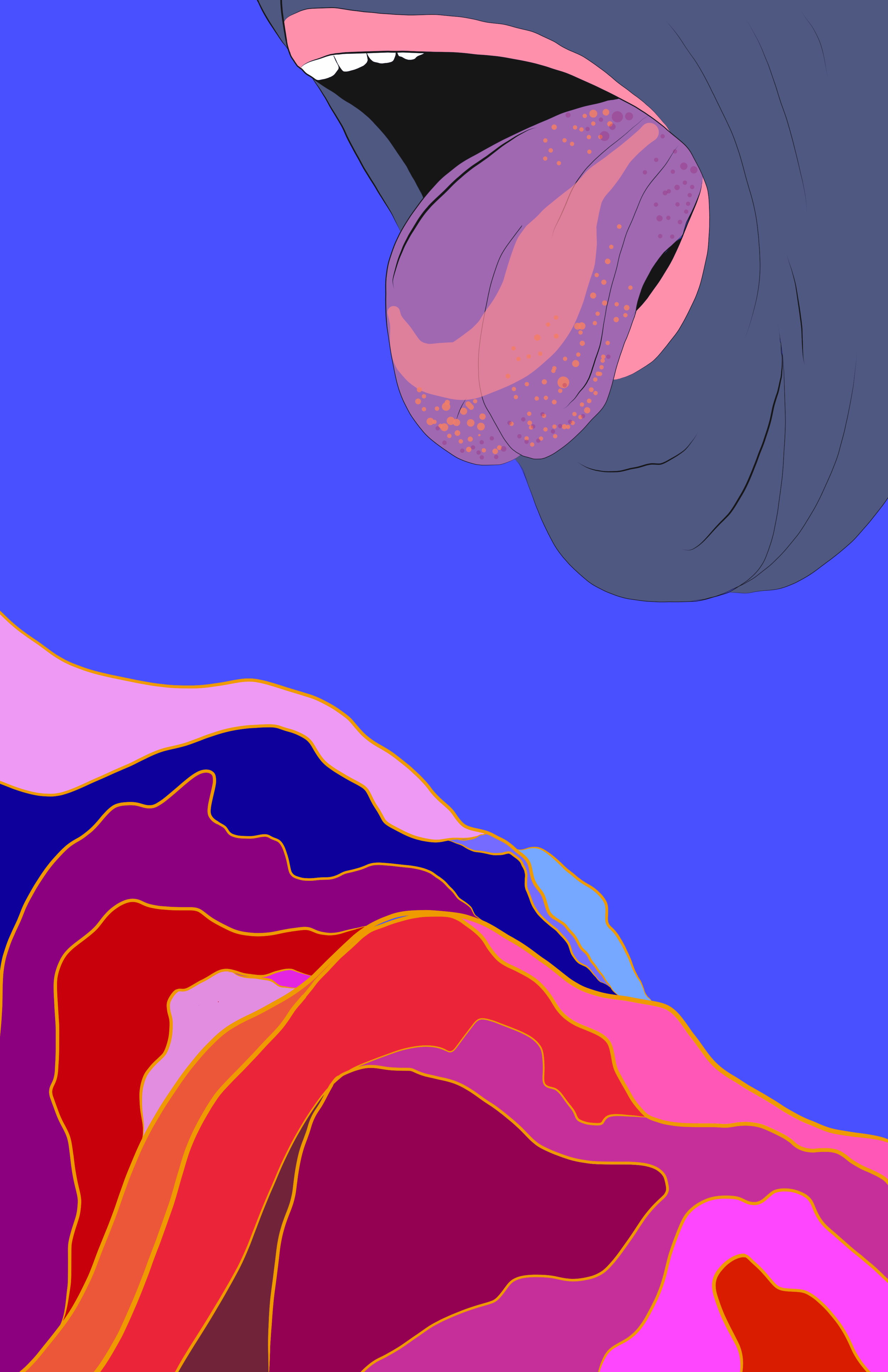 IMG_1117.PNG